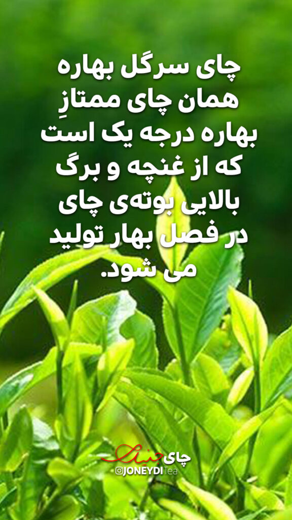 انواع چای در جهان