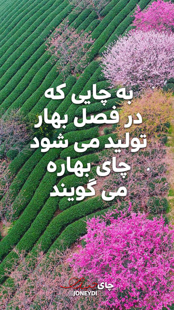 انواع چای در جهان