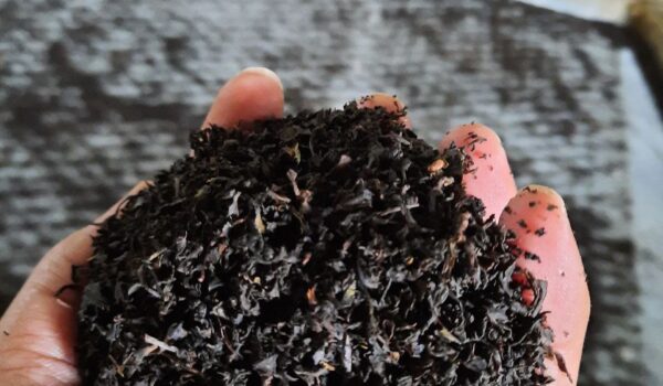 8 مورد از قیمت چای