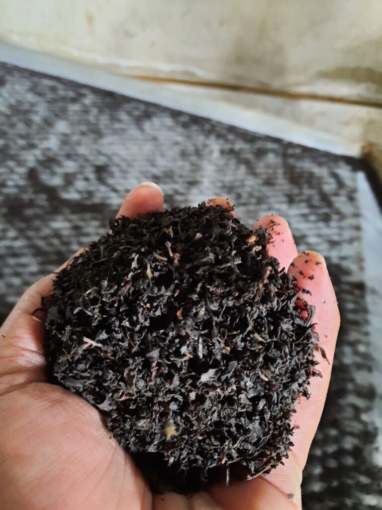 8 مورد از قیمت چای