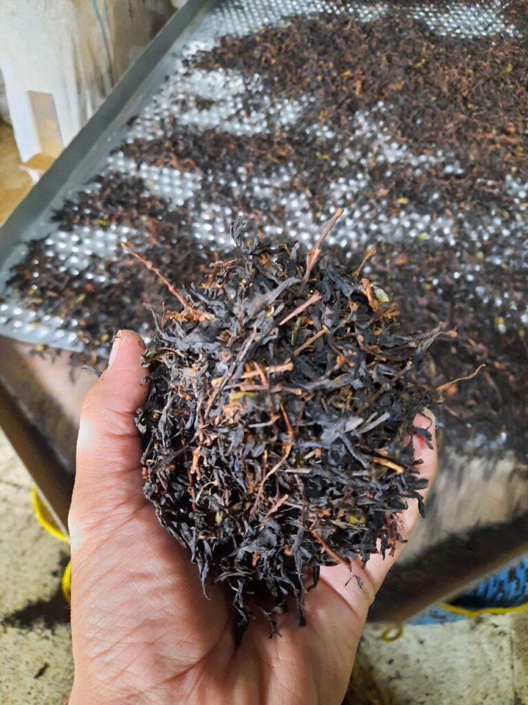 8 مورد از قیمت چای