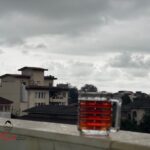 چای سرگل ممتاز بهاره