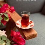 تقویت سیناپس‌های مغزی؛ راهی برای افزایش هوش و تمرکز