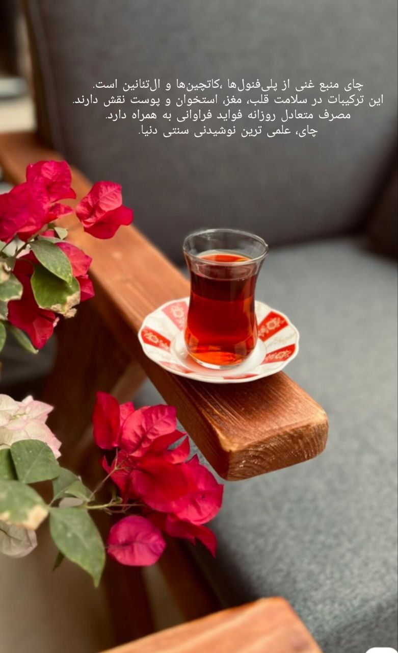 تقویت سیناپس‌های مغزی؛ راهی برای افزایش هوش و تمرکز